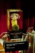 Премия «Небьюла», присуждённая писателю Грегу Биру за повесть «Музыка, звучащая в крови» в 1984