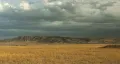 Казахская степь