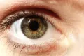 Радужная оболочка глаза человека. Карий цвет