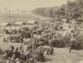 Базар на острове Гезира, Каир. 1888–1895