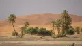Оазис в пустыне Сахара