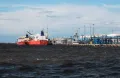 Морской порт Усть-Луга (Ленинградская область)