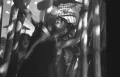 Кадр из фильма «Я – Куба». Режиссёр Михаил Калатозов. 1964