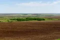 Восточно-Европейская равнина (Ростовская область, Россия)