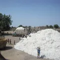 Кудугу (Буркина-Фасо). Выгрузка хлопка