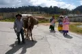 Масауа. Жители небольшого города в штате Мехико
