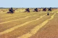 Сбор урожая пшеницы в совхозе имени С. М. Кирова