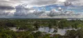 Река Амазонка (Колумбия). Панорама