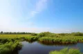 Река Глинянка на границе заповедника Бастак (Еврейская автономная область)