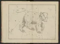 Созвездие Большая Медведица в «Уранометрии» Иоганна Байера