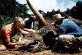 Кадр из фильма «Парк Юрского периода». Режиссёр Стивен Спилберг. 1993