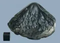 Каменный метеорит Каракол