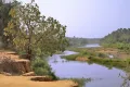 Река Гамбия (Сенегал)