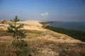 Дюна Красная у Куршского залива, национальный парк Куршская Коса (Калининградская область)