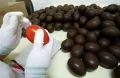 Производство шоколадных конфет на фабрике «Коммунарка», Минск (Республика Беларусь)