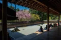Сад 15 камней в храме Рёан-дзи, Киото