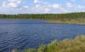 Озеро Кошеер в заповеднике Большая Кокшага (Республика Марий Эл).