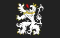 Гент (Бельгия). Флаг города