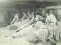 Сгонка волоса на кожевенном заводе в процессе золения. 1920-е гг.