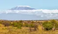 Танзания. Вид на вулкан Килиманджаро