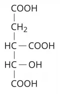 Структурная формула изолимонной кислоты