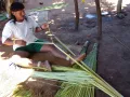 Индеец шаванте, подготавливающий волокна для плетения. Индейская территория Пиментел-Барбоза (Мату-Гросу), 2011