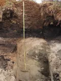 Профиль торфяной мерзлотной почвы (борт карьера)