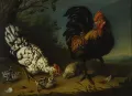 Иоганн Фридрих Гроот. Куриное семейство. 1767