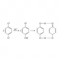 Присоединение протона к семихинону в кислой среде с образованием гидроксифеноксильных радикалов