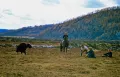 Сойоты. Зимняя стоянка Арауроо, Бурятия (Россия). 1999