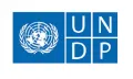 Логотип программы развития ООН (United Nations Development Programme)