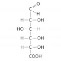 Структурная формула D-глюкуроновой кислоты