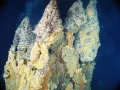 Курильщики (гидротермальные постройки) на дне Тихого океана. Высота около 9 м. Район Марианской островной дуги