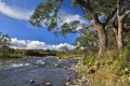 Река Тятина на острове Кунашир. Курильский заповедник (Сахалинская область, Россия)