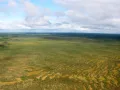 Водораздельные болота. Юганский заповедник (Ханты-Мансийский автономный округ)