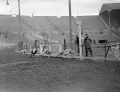 Тренировка собак накануне собачьих бегов на стадионе «Уэмбли» в Лондоне. 1947