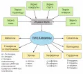 Классификация проламинов