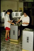  Голосование на выборах. Япония. 18 июля 1993