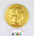 Большая золотая медаль имени М. В. Ломоносова