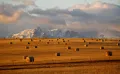 Сельскохозяйственный ландшафт на плато Миссури (штат Монтана, США). Великие равнины