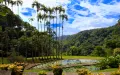 Ботанический сад «Балата», Фор-де-Франс (Мартиника)