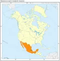 Мексика на карте Северной Америки