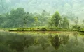 Национальный парк Гунунг-Геде-Пангранго (остров Ява, Индонезия)