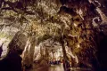 Пещера Постойнска-Яма в Словении