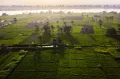 Сельскохозяйственные земли на берегу Нила в районе г. Эль-Минья (Египет)