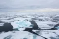 Морской лёд у берегов Шпицбергена (Норвегия)