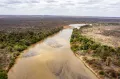 Река Тана в национальном парке Меру (Кения)