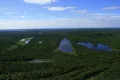 Северная тайга (Ямало-Ненецкий автономный округ)