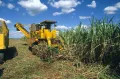 Куба. Уборка сахарного тростника