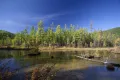 Озеро Аквариум. Заповедник «Джергинский»